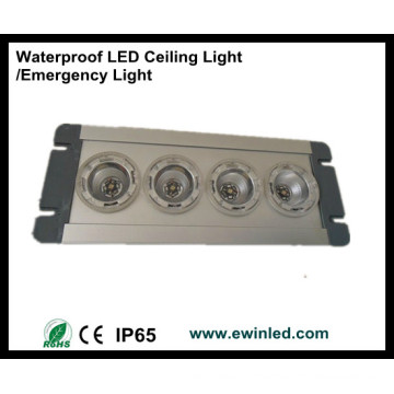 Waterproof LED Ceiling Light/Emergency Light